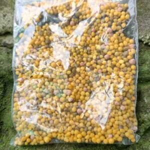 OSMOCOTE 13:13:13 (MADE IN THAILAND)