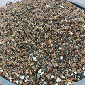 Cactus-Succulent Media-1kg