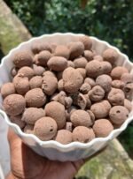 Leca/Clay Ball-250 gm (Imported)