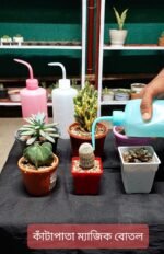 Magic Bottle White -500ml (Thailand)