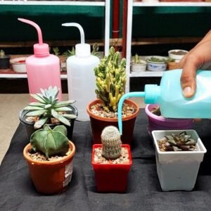 Magic Bottle White -500ml (Thailand)