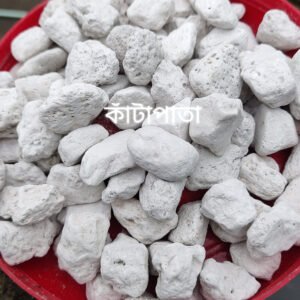 Pumice Stone 1kg(Imported)