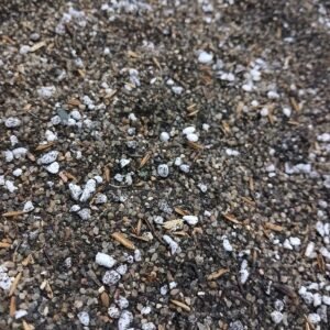 Seedling Media for Seeds,Baby Plants